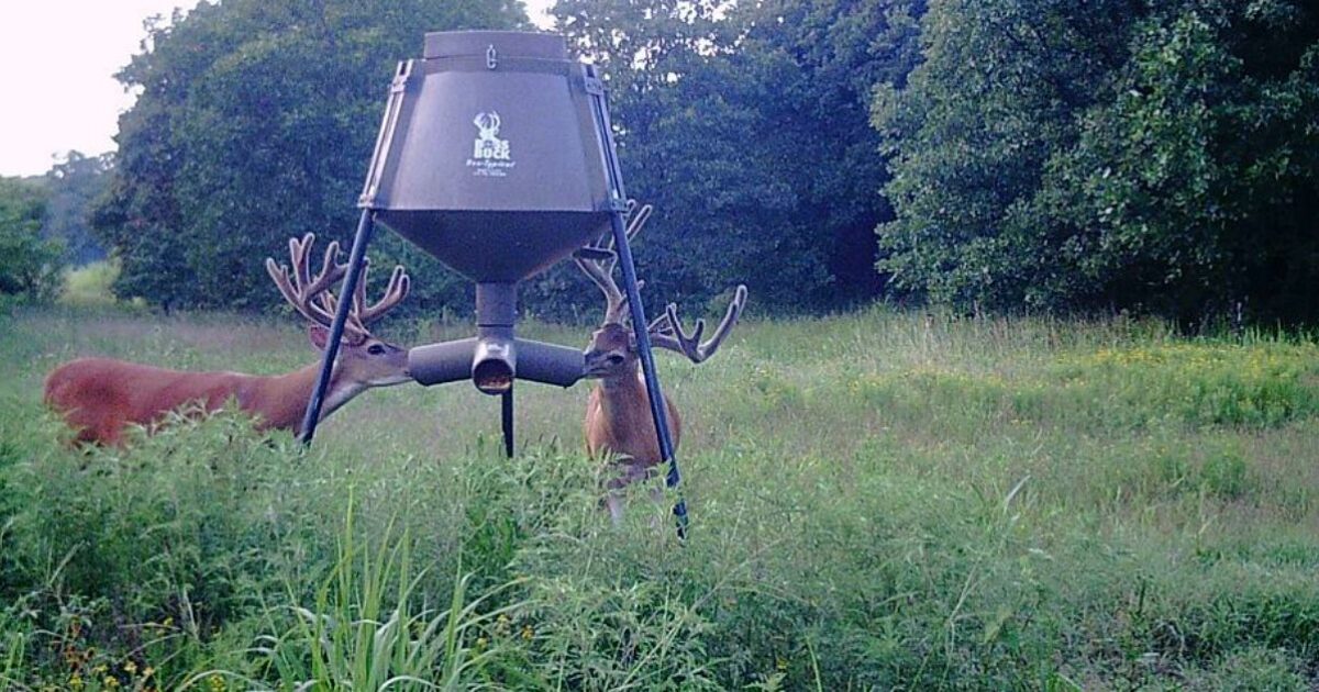Gsm Outdoors Keeps Growing With Acquisition Of Boss Archery Business